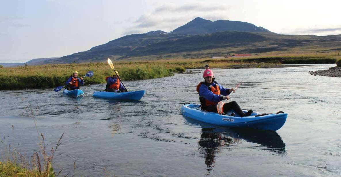 Icelandic Kayak Trip - Reviews