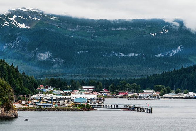 Icy Strait Shore Excursion: Whale Watching Adventure Tour - Pricing and Booking Information