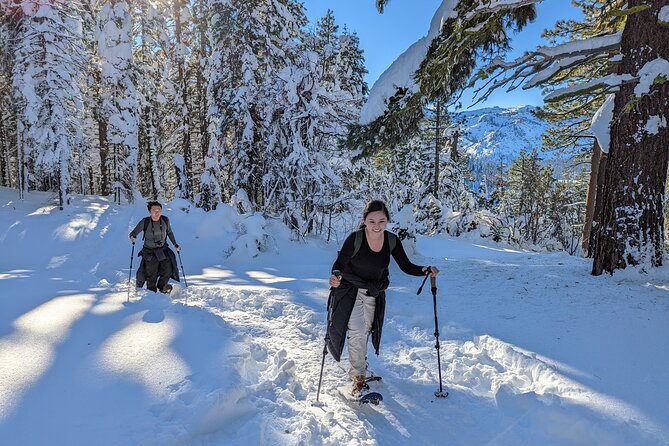 Introductory Snowshoe Shared Experience - Group Size Restrictions