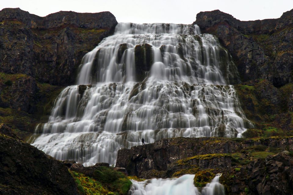 Isafjordur: Dynjandi Waterfall Tour and Icelandic Farm Visit - Inclusions