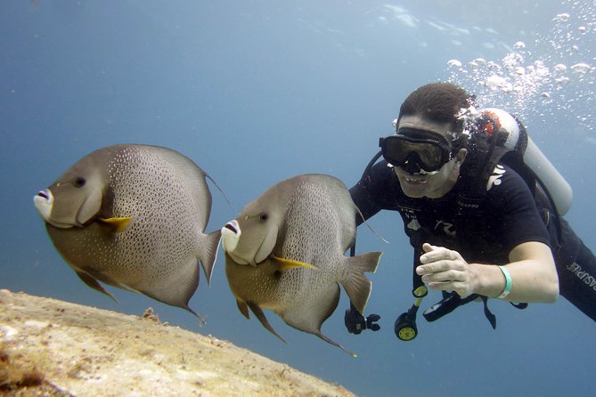 Isla Mujeres Small-Group MUSA Scuba Dive - Safety Guidelines