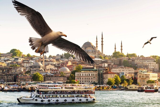 Istanbul Princes Islands Heybeliada Buyukada Guided Tour - Reviews and Ratings