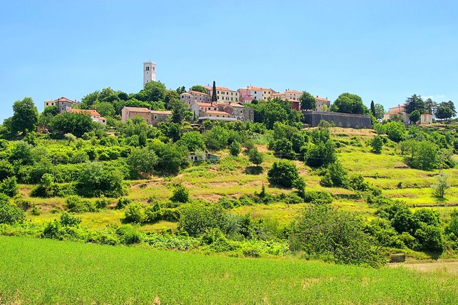 Istrian Hills Tour and Wine Tasting Plus Regional Hotel Pickup  - Rovinj - Common questions