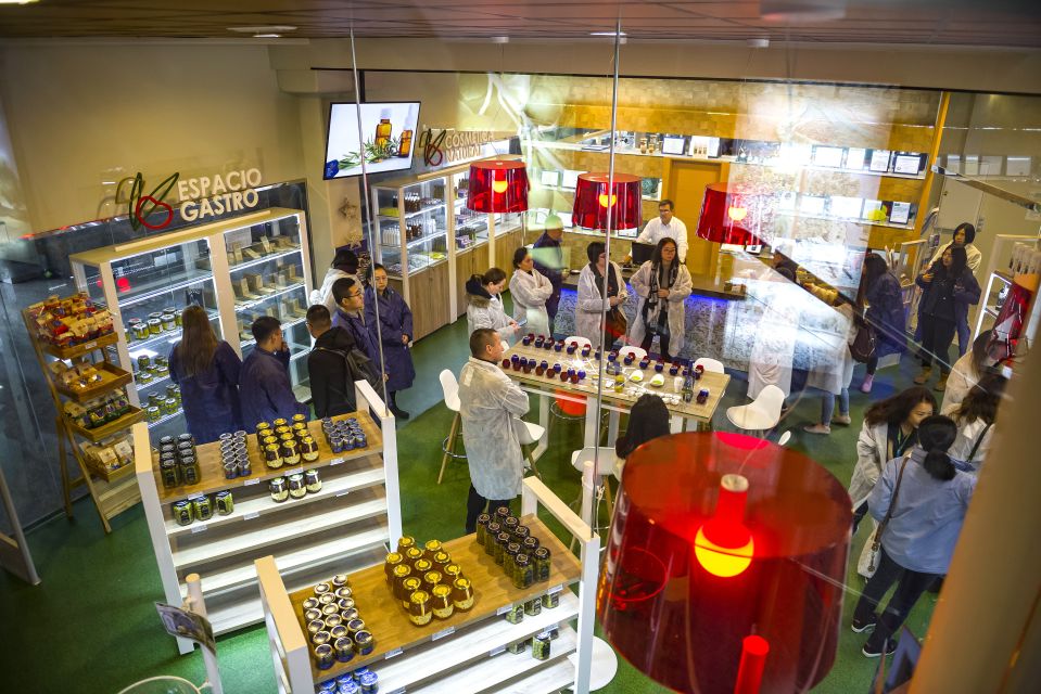 Jaén: Olive Mill Tour and Olive Oil Tasting Experience - Cost