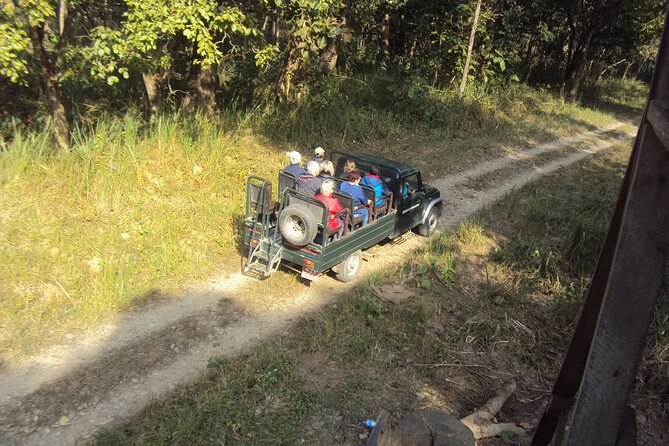 Jeep Safari ( Inside Chitwan National Park, 8-10 Hrs.). - Wildlife Spotting Opportunities