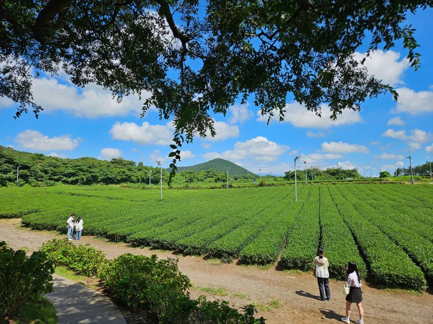 Jeju Island: Highlights Tour With Attraction Tickets & Lunch - Songaksan Mountain Exploration