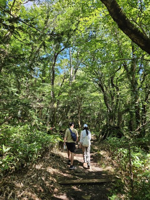 Jeju Island Southern UNESCO Day Tour With Lunch Included. - Lava and Sea Encounter