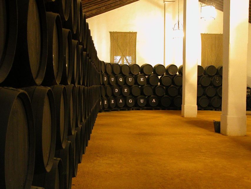 Jerez: Bodegas Álvaro Domecq Guided Tour With Wine Tasting - Additional Information