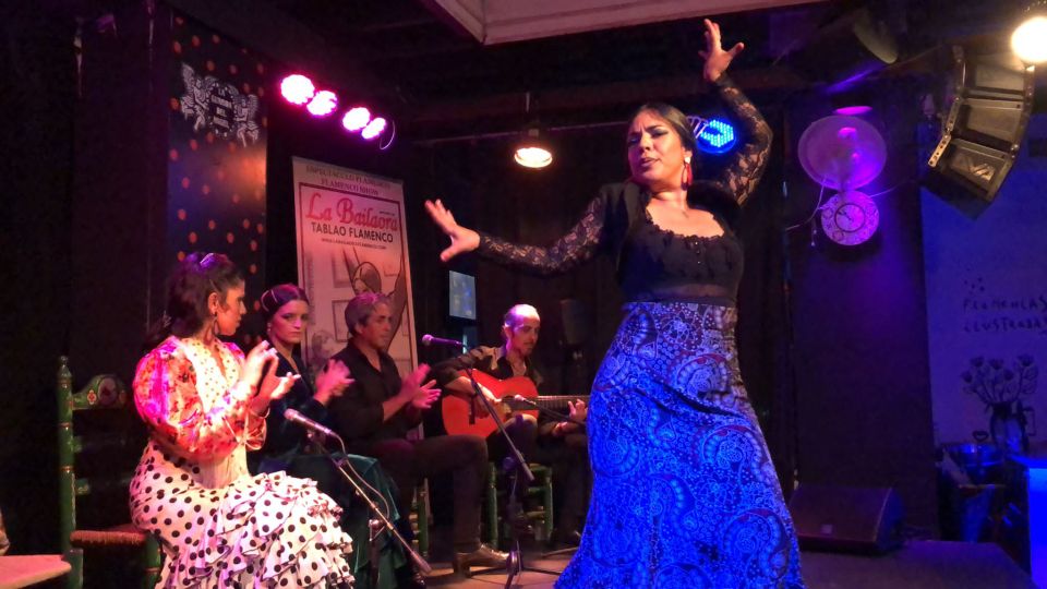 Jerez De La Frontera: Flamenco Show (Optional Tapas) - Experience Highlights