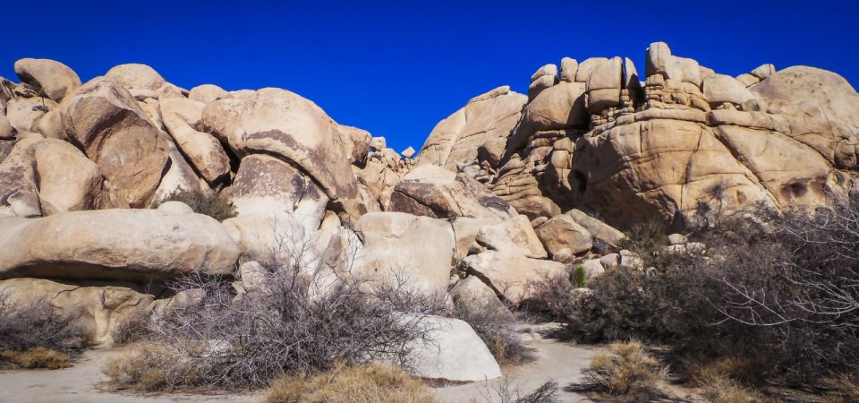 Joshua Tree National Park: Self-Guided Driving Tour - Inclusions