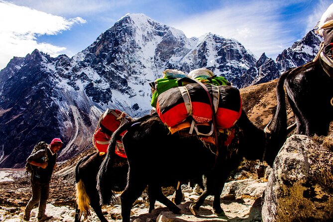 Journey to the Roof of the World Everest Base Camp Trekking - Trekking Routes