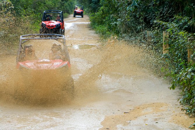 Jungle Buggy Tour From Playa Del Carmen Including Cenote Swim - Additional Information