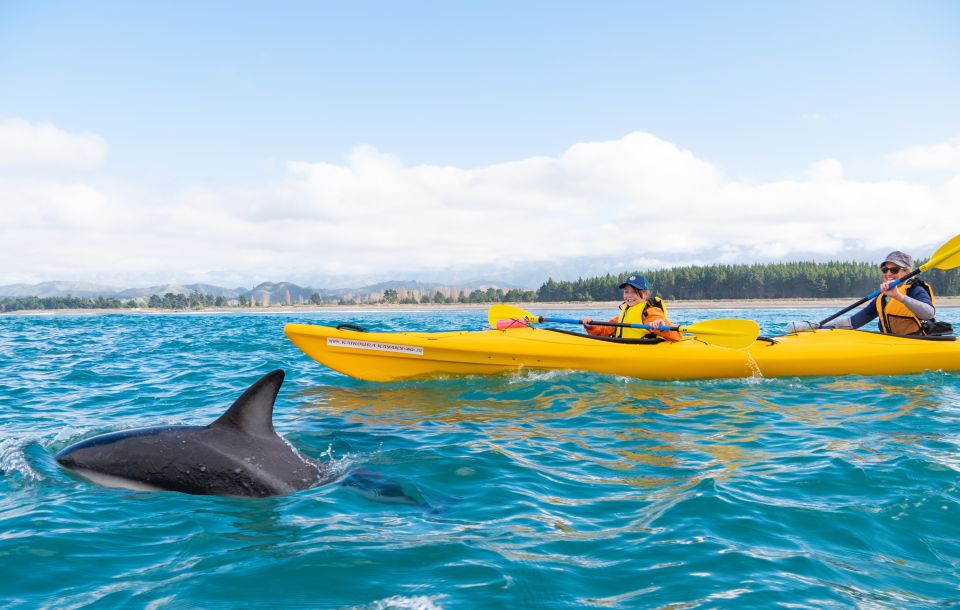 Kaikoura: Guided Family Kayaking Adventure - Common questions