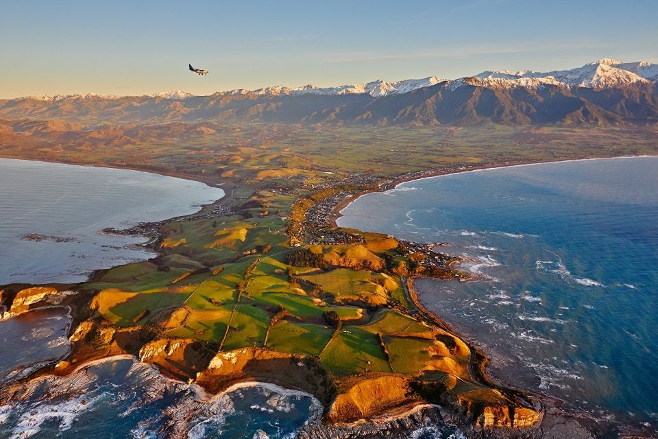 Kaikoura: Premium Whale Watching Flight - Background Information