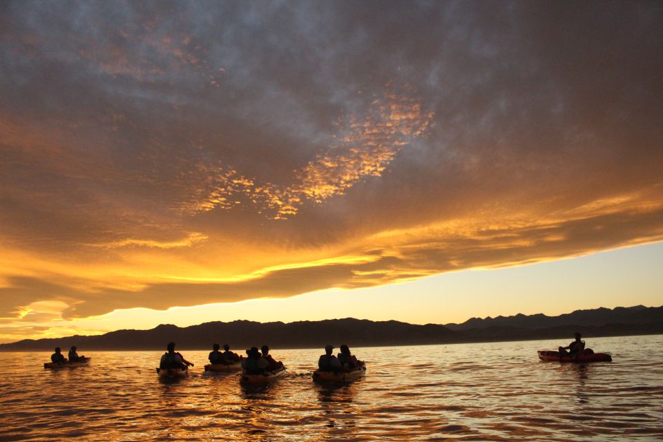 Kaikoura: Seal-Watching Pedal Kayak Tour - Location Details