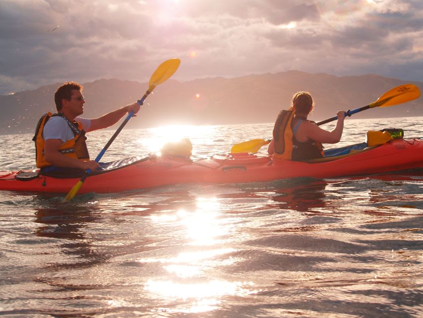 Kaikoura: Wildlife Kayaking Tour at Sunset - Sunset Kayak Review Summary