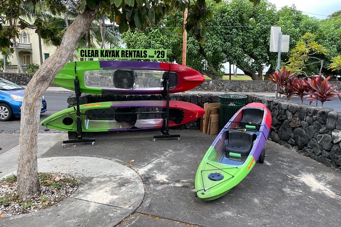 Kailua-Kona Clear-Bottom Kayak Rental  - Big Island of Hawaii - Traveler Photos and Reviews