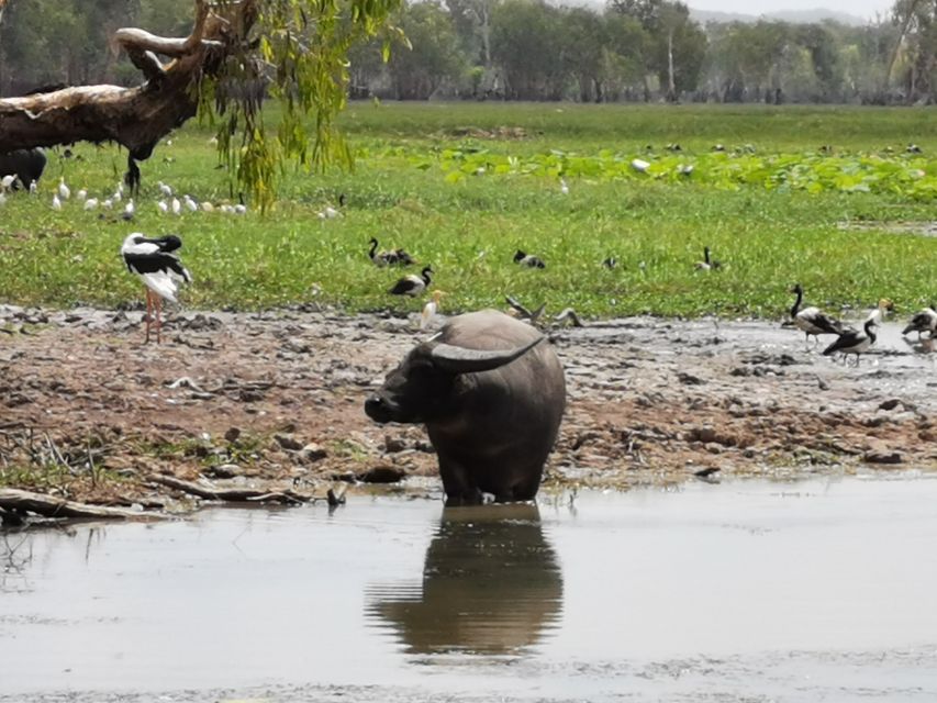 Kakadu National Park, 4WD, 4-6 Guests Only, Day Trip W/Lunch - Full Itinerary