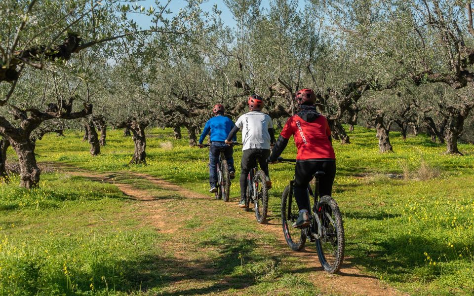 Kalamata: Olive Grove E-Mountain Bike Tour With Picnic Lunch - Directions