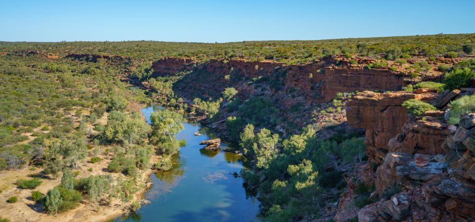Kalbarri National Park Self Guided Driving Tour - Discover Wildlife and Plants