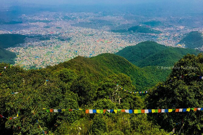 Kathmandu Private Tour: Day Hiking to Shivapuri - Local Flora and Fauna