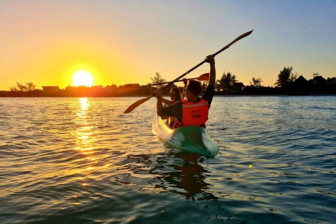 Kayak Mangroves Sunrise Experience - Customer Reviews