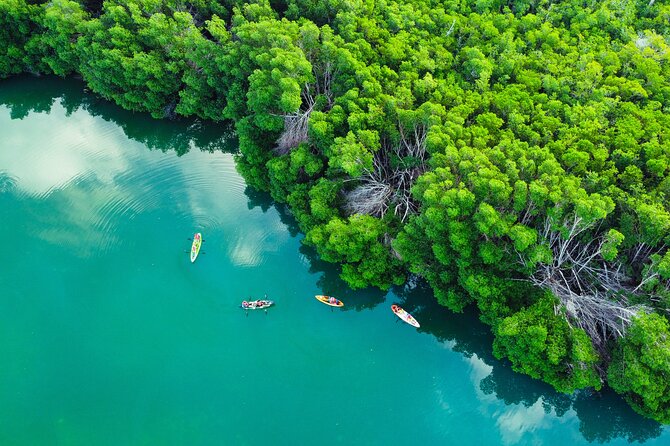 Kayak Tour at Sunset in Cancun - Weather and Traveler Information