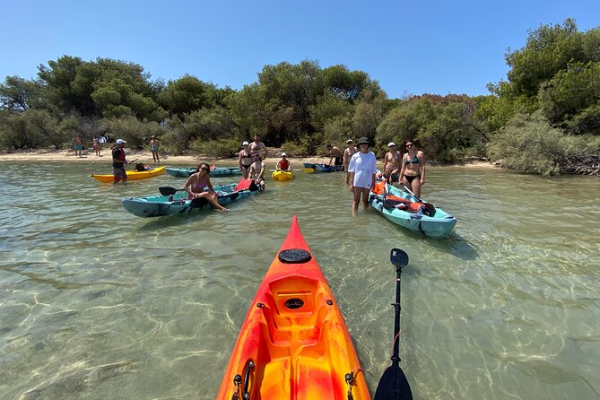 Kayak Tour: Porto Cesareo and the Marine Protected Area - Details and Weather Contingency