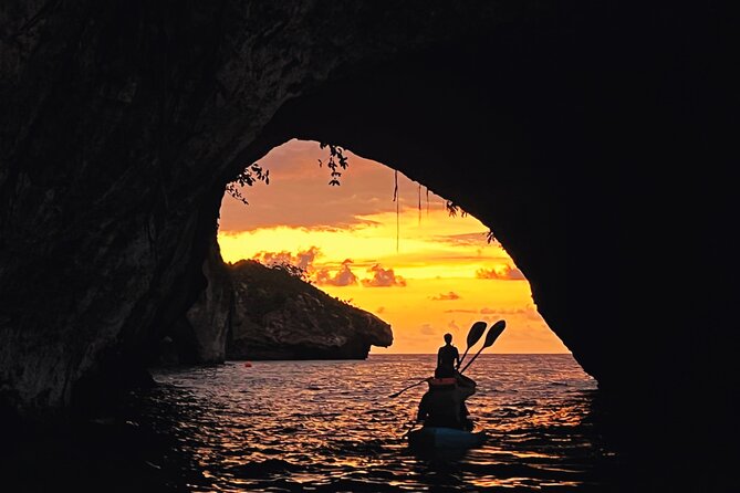 Kayaking Bioluminescence Experience - Common questions