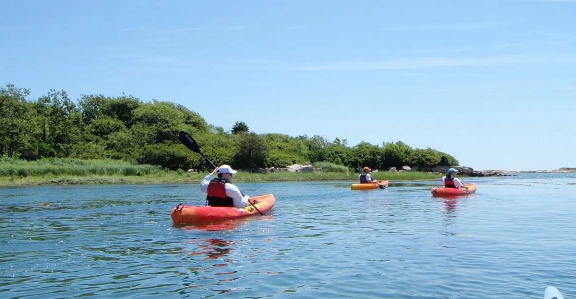 Kennebunkport: Cape Porpoise Half-Day Kayak/SUP Rental - Restrictions