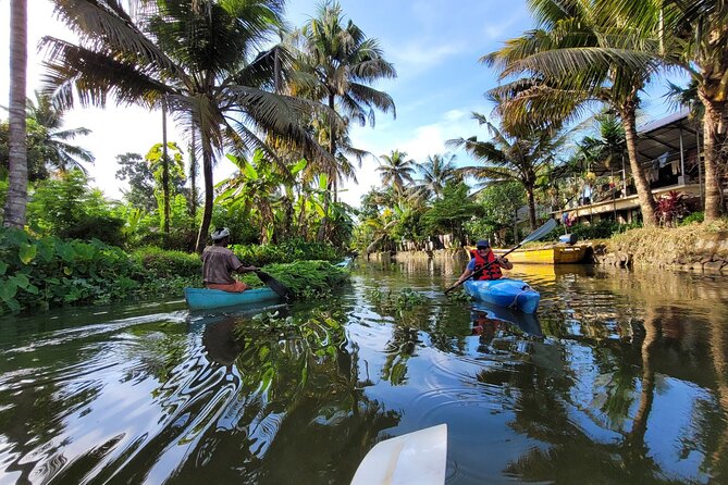 Kerala Backwater Village Kayaking Tour: Alleppey - Traveler Feedback Summary