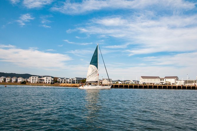 Knysna Day Sail & Lunch Charter 2.5 Hour - Reviews and Ratings