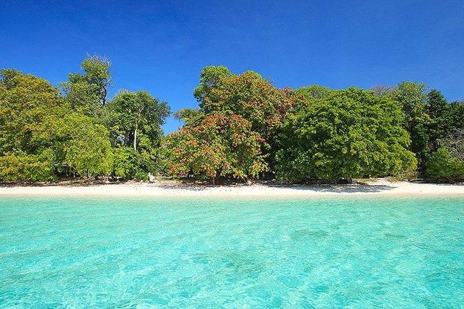 Koh Rok and Koh Haa Snorkeling Experience From Phuket - Escape Crowds on Water
