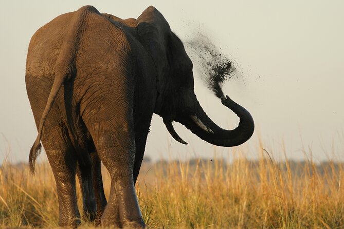 Kruger National Park in a Open Safari Vehicle - Full Day - Vehicle Comfort and Safety