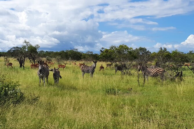 Kruger National Park & Panorama Route From Johannesburg 3 Days & 2 Nights - Last Words