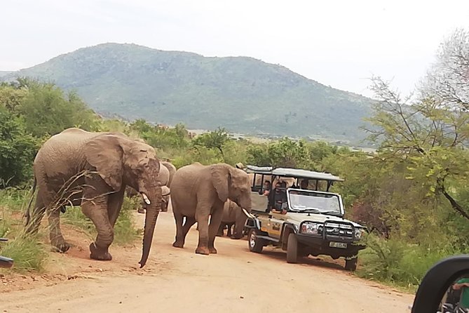 Kruger National Park Safari With Panorama 4 Days Private - Common questions