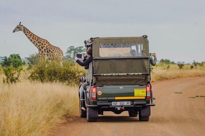 Kruger Park Half Day Open Vehicle Safari Drive - Safety Guidelines and Wildlife Etiquette