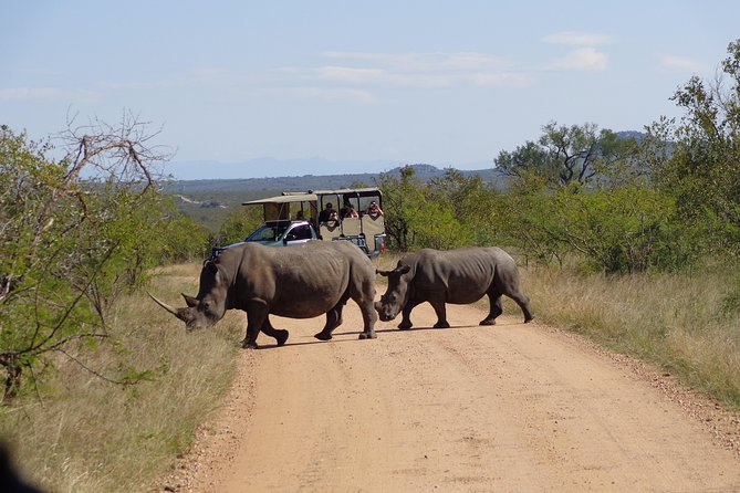 Kruger to Cape Town 19-Night Adventure Tour From Pretoria - Additional Information and Requirements