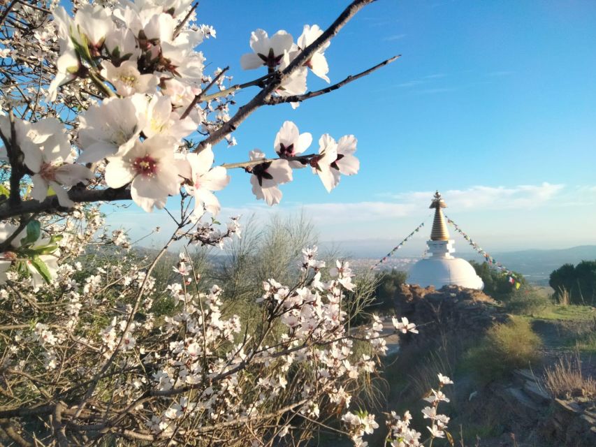 La Axarquia White Villages & Buddhist Stupa - SemiPrivate - Inclusions