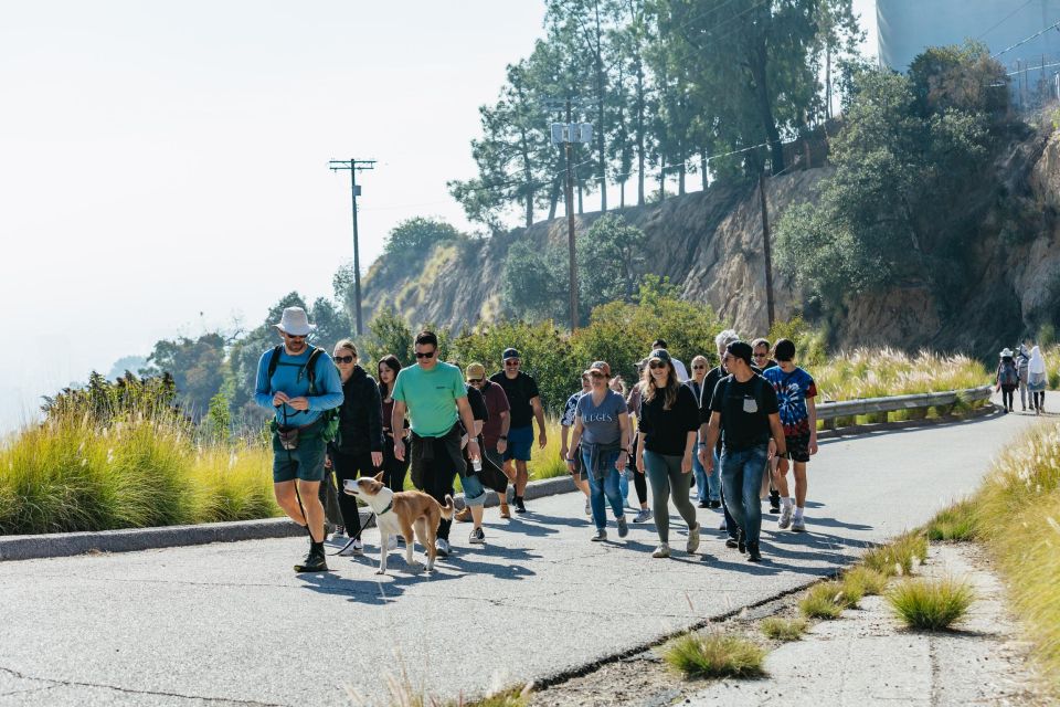 LA: Express Hollywood Sign Guided Walking Tour With Photos - Review Summary