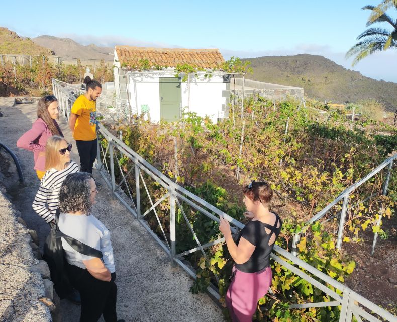 La Gomera: Winery Visit and Tasting Tour - Logistics Details