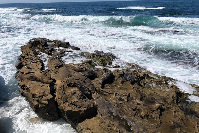 La Jolla Segway Tour - Booking and Confirmation Details