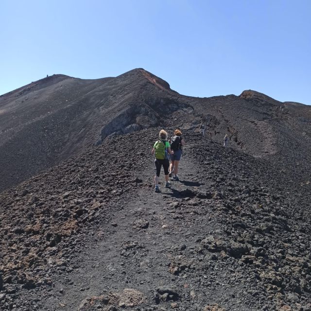 La Palma: Guided Trekking Tour to Volcanoes South - Inclusions