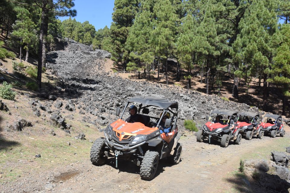 La Palma: Volcano Route Buggy Tour - Additional Excursion Details