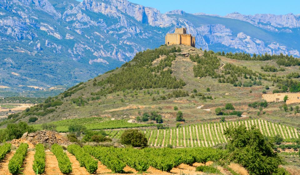 La Rioja Vineyards Private Tour From Bilbao (3 Vineyards) - Cancellation Policy