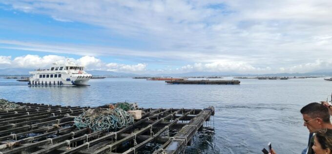 La Toja: Boat Tour at the Arousa Estuary With Mussel Tasting - Customer Reviews