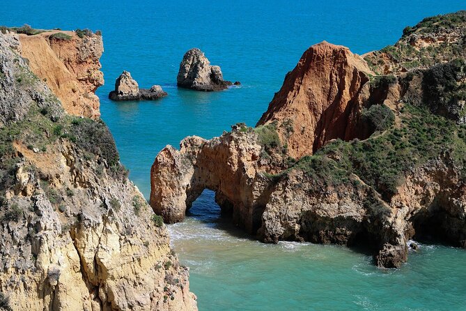 Lagos Small-Group Algarve Nature Tour - Vehicle and Passenger Information