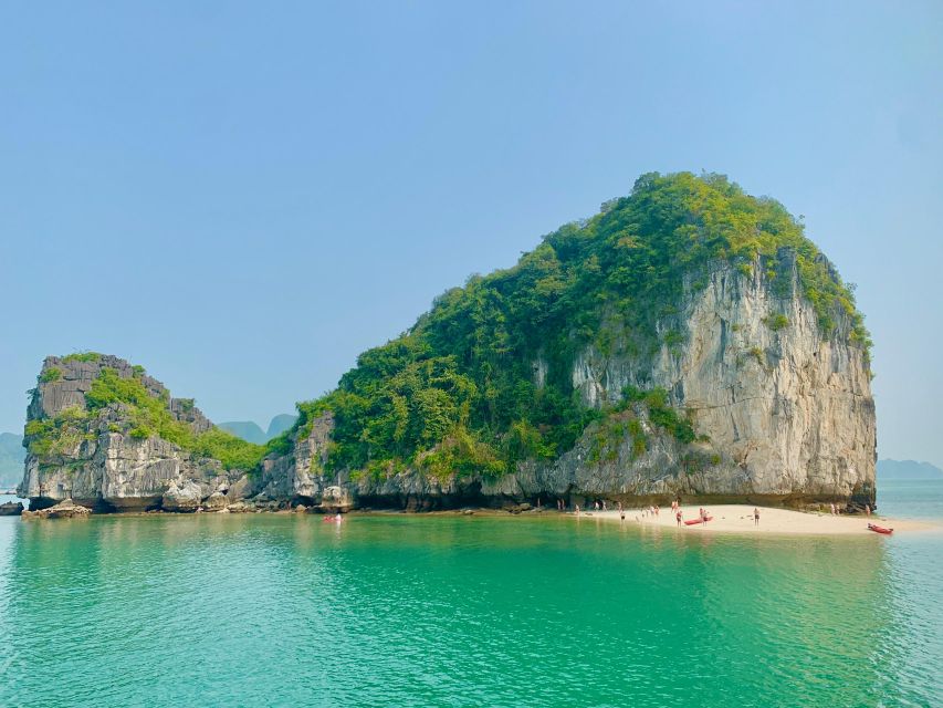 Lan Ha Bay Full Day Boat Tour - Customer Reviews and Feedback