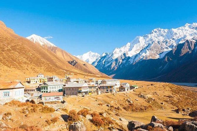 Langtang Valley Trekking - Reviews From Trekkers