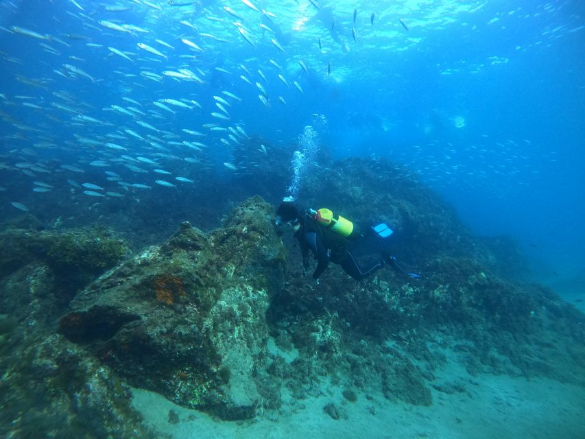 Lanzarote: Introductory Diving in Costa Teguise - Diving Description